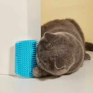 Cat Brush Corner Scrape