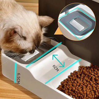 Automatic Cat Food Dispenser