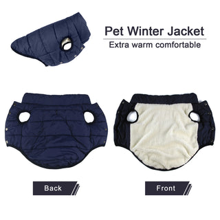 Winter Dog Clothes