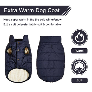 Winter Dog Clothes